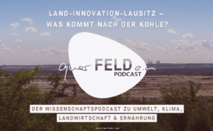 Was kommt nach der Kohle? Ein Gespräch über (neue) Landnutzung in der Lausitz.